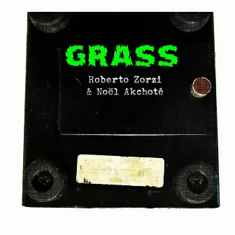 Grass (Guitar Duets Series) by Roberto Zorzi