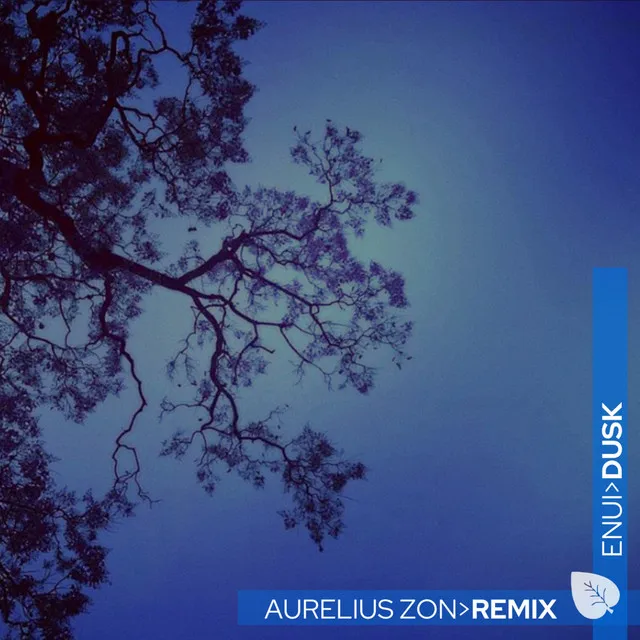 Dusk - Aurelius Zon Remix