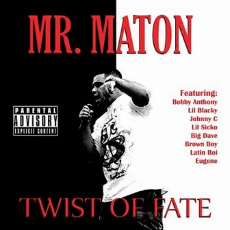 Twist Of Fate by Mr. Maton