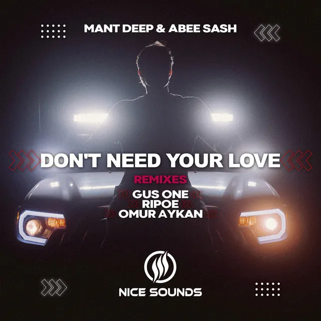 Don't Need Your Love - Rip0e Remix