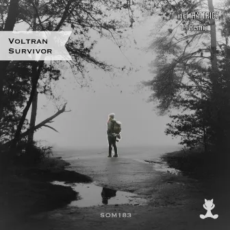 Survivor by Voltran