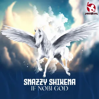 IF NOBI GOD by Snazzy Shikena