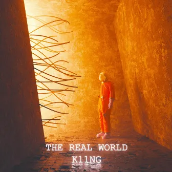 The Real World by K11ng