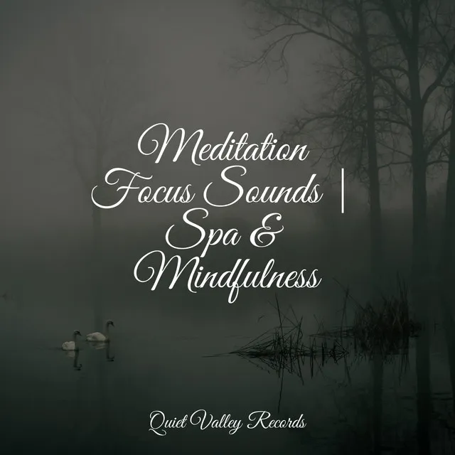 Meditation Focus Sounds | Spa & Mindfulness