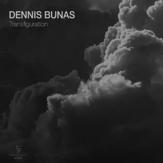 Transfiguration by Dennis Bunas