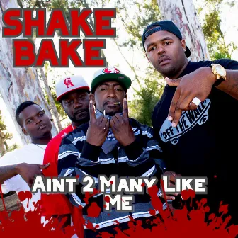 Ain't 2 Many Like Me by Shake Bake