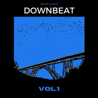 Drum Loops: Downbeat (Vol.1) by Simone Pannozzo