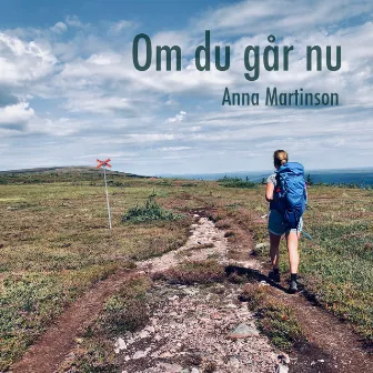 Om du går nu by Anna Martinson