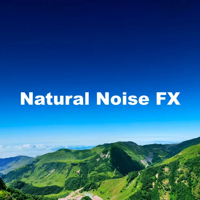 Natural Noise FX