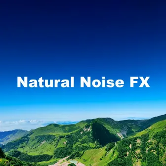 Natural Noise FX by Naturally Recurring