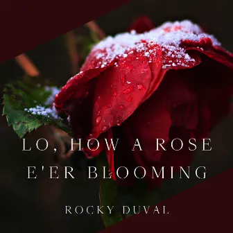 Lo, How a Rose E'er Blooming by Unknown Artist