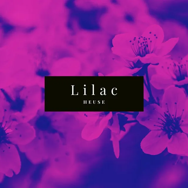 Lilac