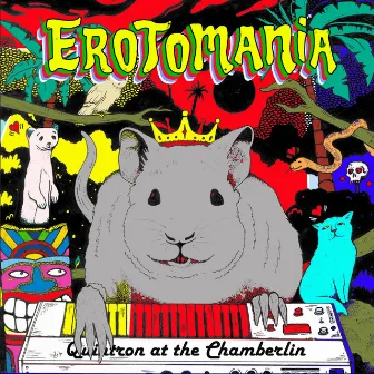 Erotomania - Quintron at the Chamberlin by Quintron