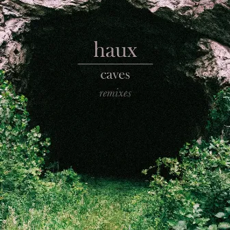 Caves (Remixes) by Haux