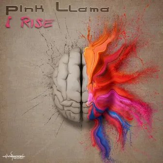 I Rise by Pink Llama