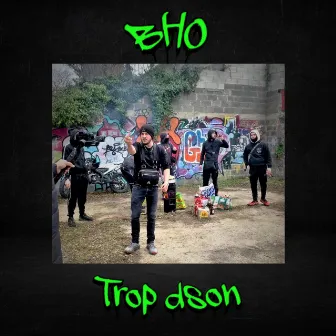 Trop d'sons by BHO