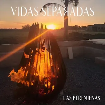 Vidas Separadas by Las Berenjenas