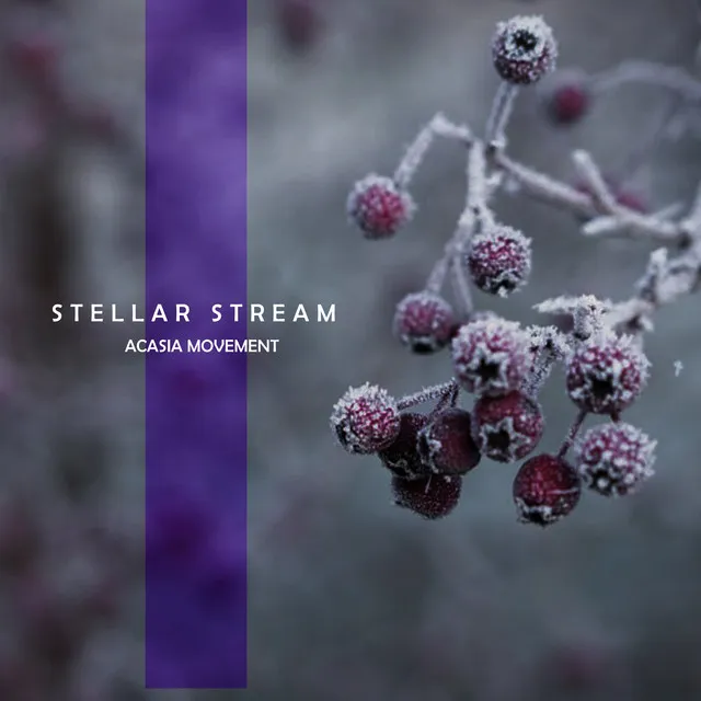 Stellar Stream