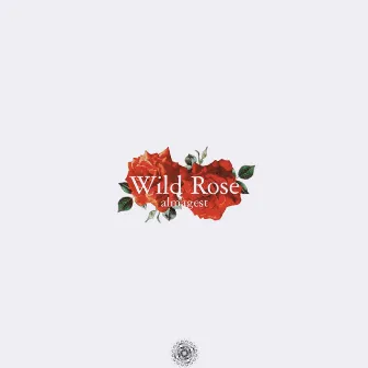 Wild Rose by Almagest!