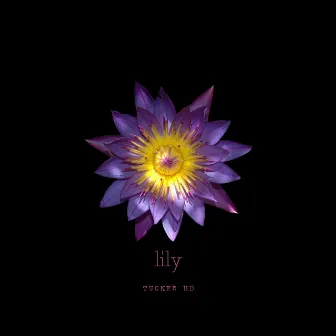 Lily by Tucker HD