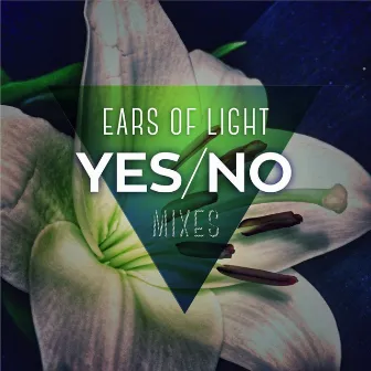 Yes/No by Ears Of Light