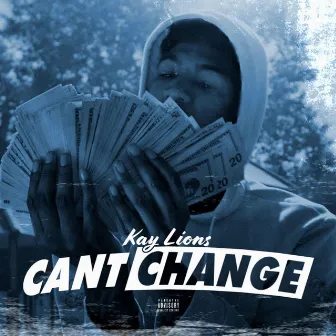 Can't Change by Kay Lions