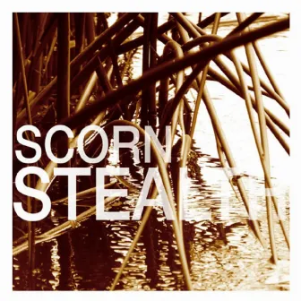 Stealth by Scorn