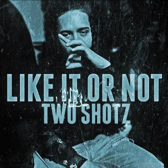 Like It or Not by Two Shotz