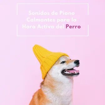 Sonidos De Piano Calmantes Para La Hora Activa Del Perro by Jazz clásico francés