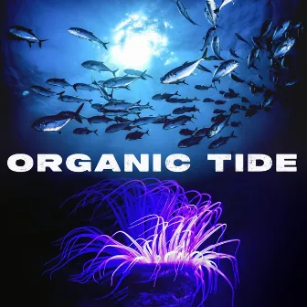 Organic Tide by The Ocean Waves Sounds