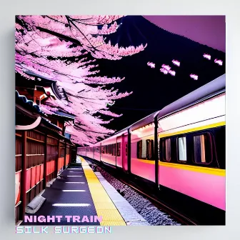 Night Train by Silk Surgeon