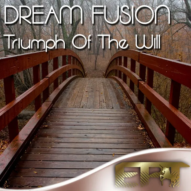 Triumph Of The Will - Original Mix