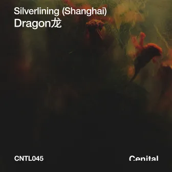 Dragon 龙 by silverlining (Shanghai)