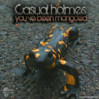 You've Been Mongoed by Casual Holmes