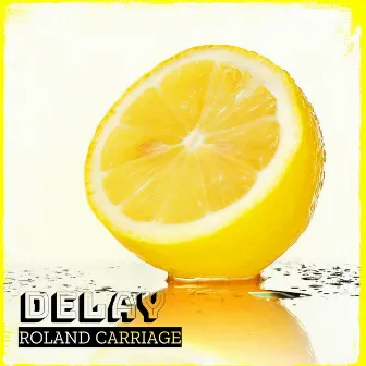 Delay by Roland Carriage