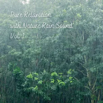 Pure Relaxation with Nature Rain Sound Vol. 1 by Rain White Noise Baby