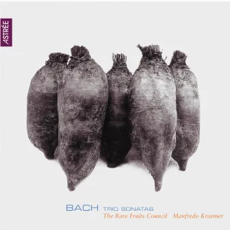 Bach: Trio Sonatas by Manfredo Kraemer