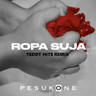 Ropa Suja (Teddy Hits Remix Teddy Hits remix) by Teddy Hits