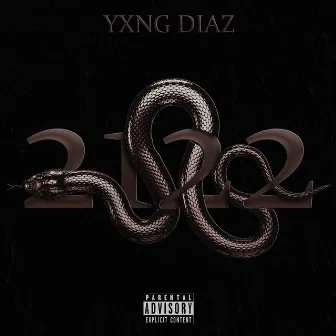 2122 (feat. RYDER) by YXNG DIAZ