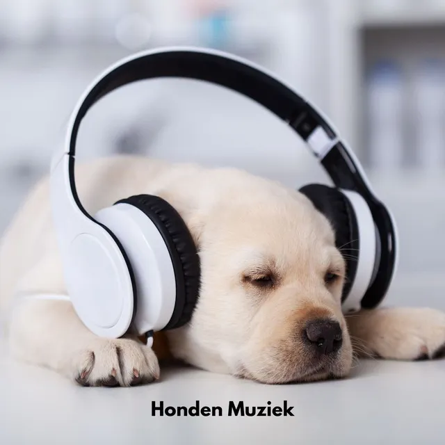 Honden Lullaby Bliss