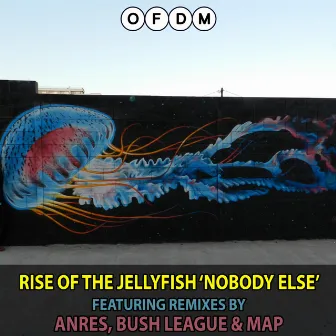 Nobody Else (Bush League Remix) by Rise Of The JellyFish