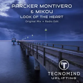 Look of the Heart by Parcker Montivero