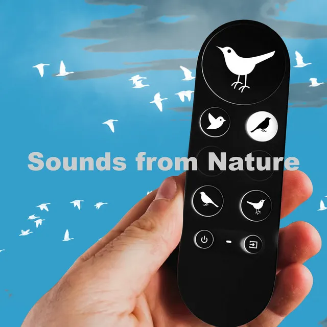 Sounds from Nature