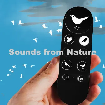 Sounds from Nature by Nature Is Calling