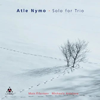 Solo for Trio by Atle Nymo