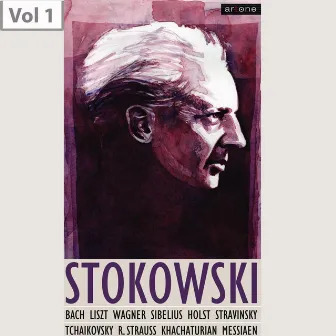 Leopold Stokowski, Vol. 1 by Leopold Stokowski Symphony Orchestra