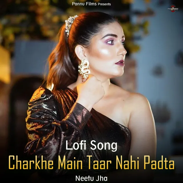 Charkhe Main Taar Nahi Padta - Lofi Song