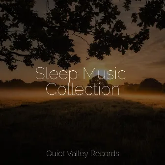 Sleep Music Collection by The Rain Library