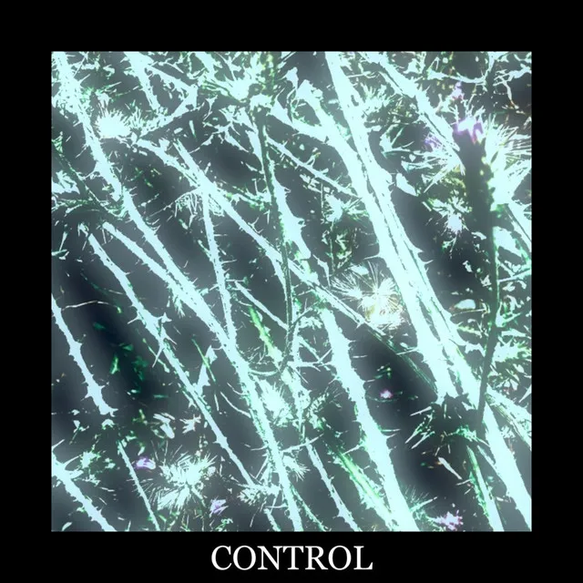 Control