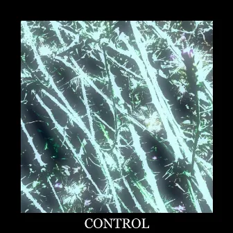 Control by Still